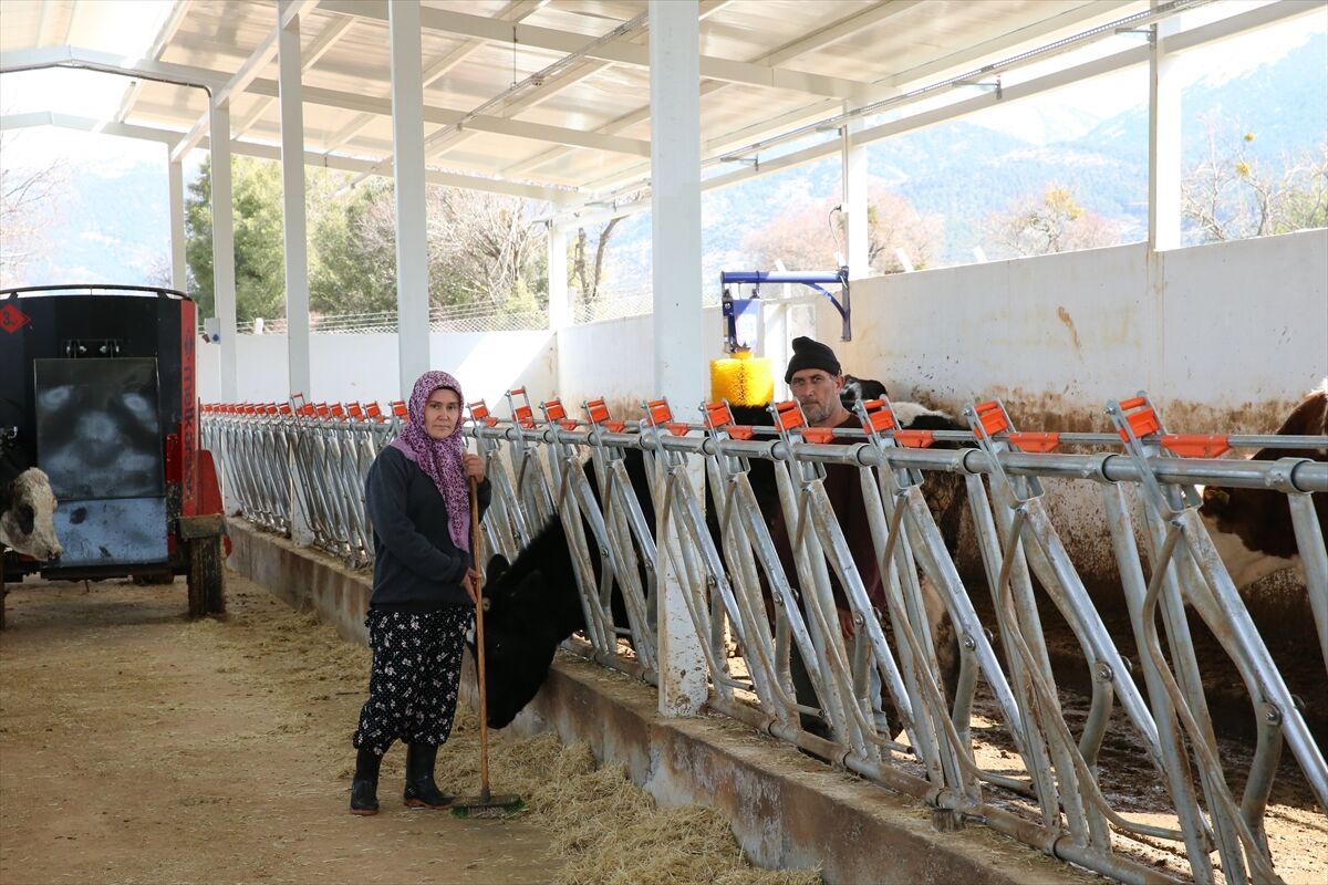 A A 20260308 40764297 40764291 D E N I Z L I D E K A D I N G I R I S I M C I D E V L E T D E S T E G I Y L E H A Y A L E T T I G I C I F T L I G I K U R D U