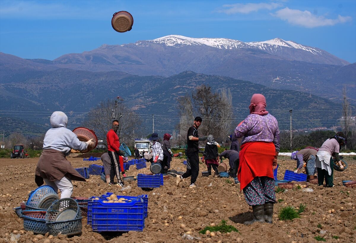 A A 20260315 40828617 40828590 P A T A T E S D E P O S U O D E M I S T E H A S A T V E E K I M B I R A R A D A