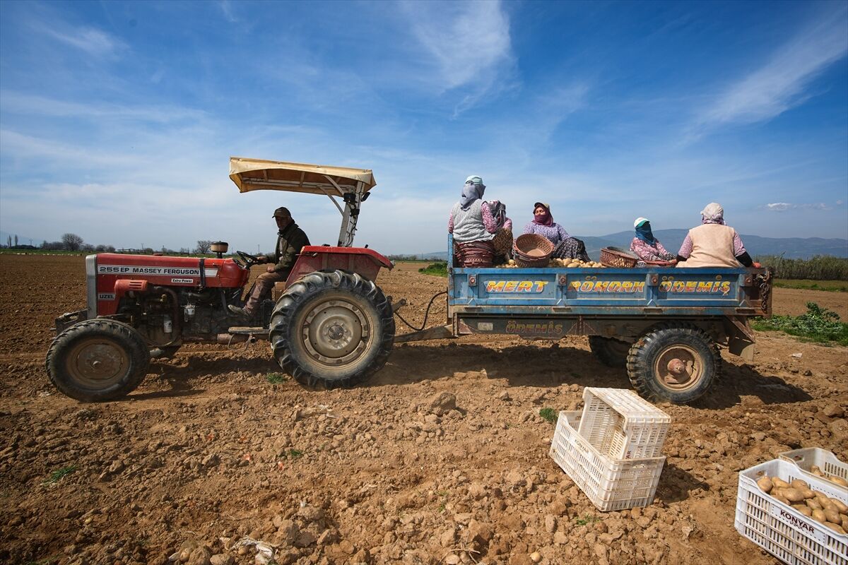 A A 20260315 40828617 40828592 P A T A T E S D E P O S U O D E M I S T E H A S A T V E E K I M B I R A R A D A