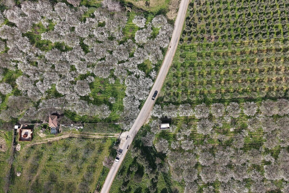 A A 20260316 40837855 40837850 G E D I Z O V A S I N D A K I M E Y V E A G A C L A R I C I C E K A C T I