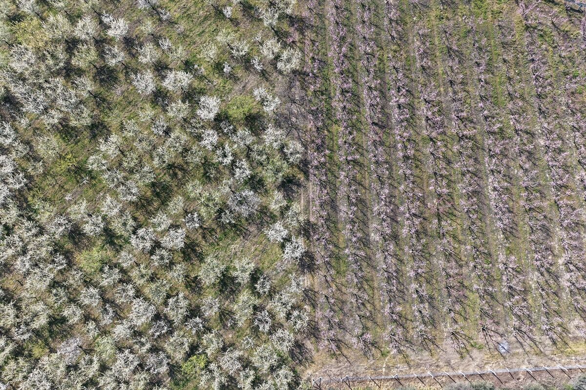 A A 20260316 40837855 40837852 G E D I Z O V A S I N D A K I M E Y V E A G A C L A R I C I C E K A C T I