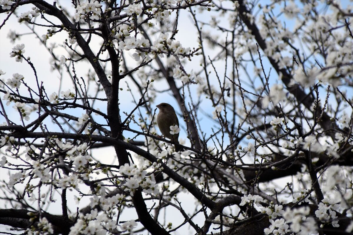 A A 20260316 40837855 40837853 G E D I Z O V A S I N D A K I M E Y V E A G A C L A R I C I C E K A C T I