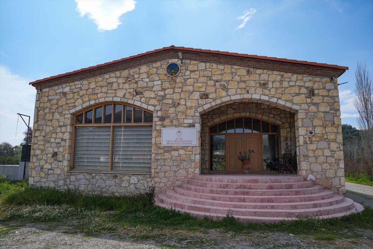 A A 20260328 40947078 40947062 A N A D O L U N U N Z E Y T I N Y A G I M I R A S I I Z M I R D E K I T A D I M K U T U P H A N E S I N D E B U L U S T U