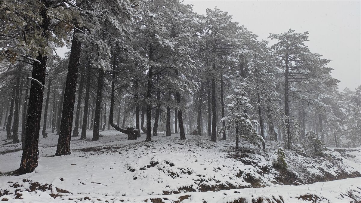 A A 20260329 40959037 40959035 M A N I S A N I N D E M I R C I I L C E S I N D E K A R E T K I L I O L D U