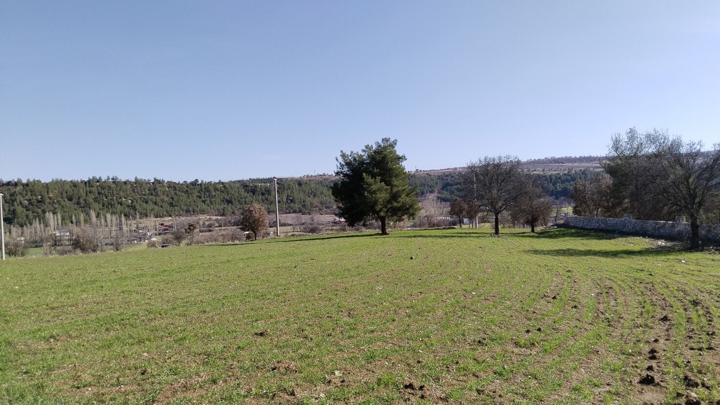 Çeşme Karaağaç Köyü (3)