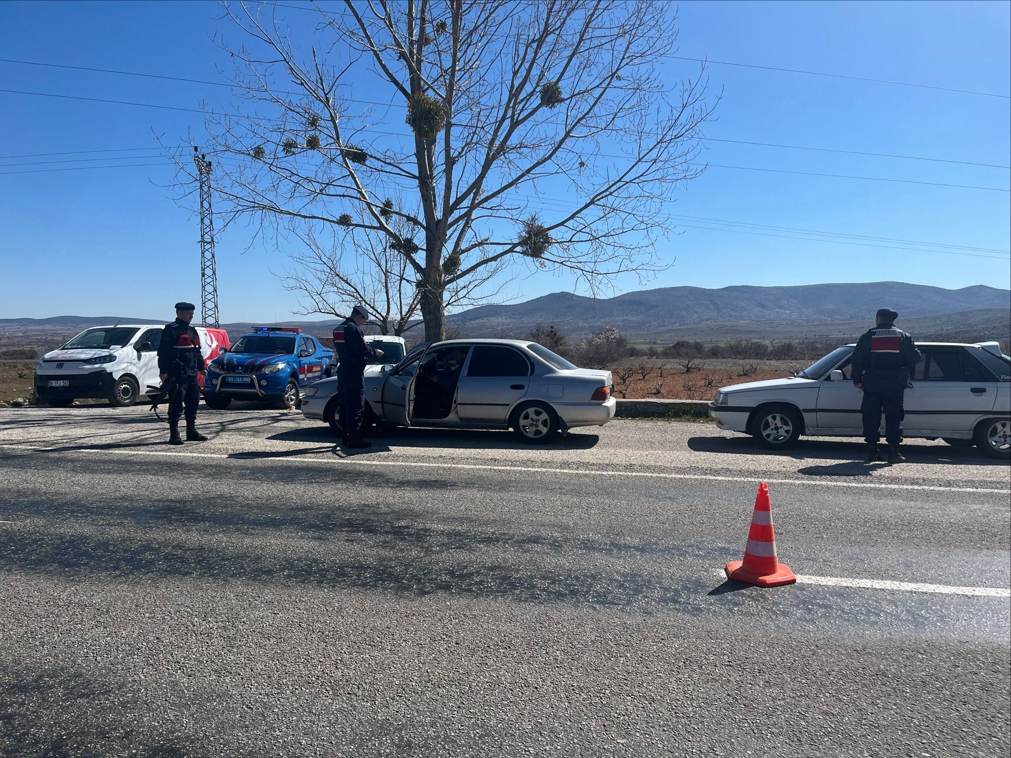 D0F1169B 6866 4880 8Ea5 F7Cb0970E25C