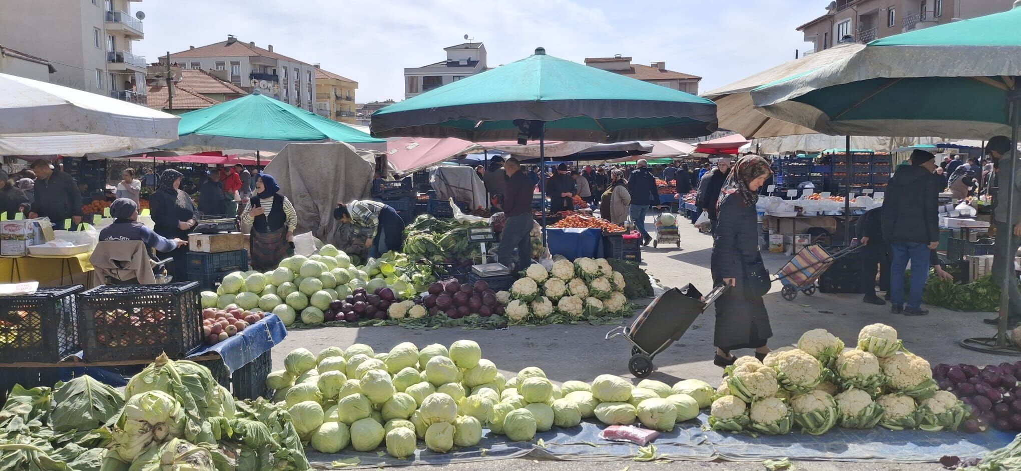 D5F2C582 127E 4Afd 897B Ac09335152Cc