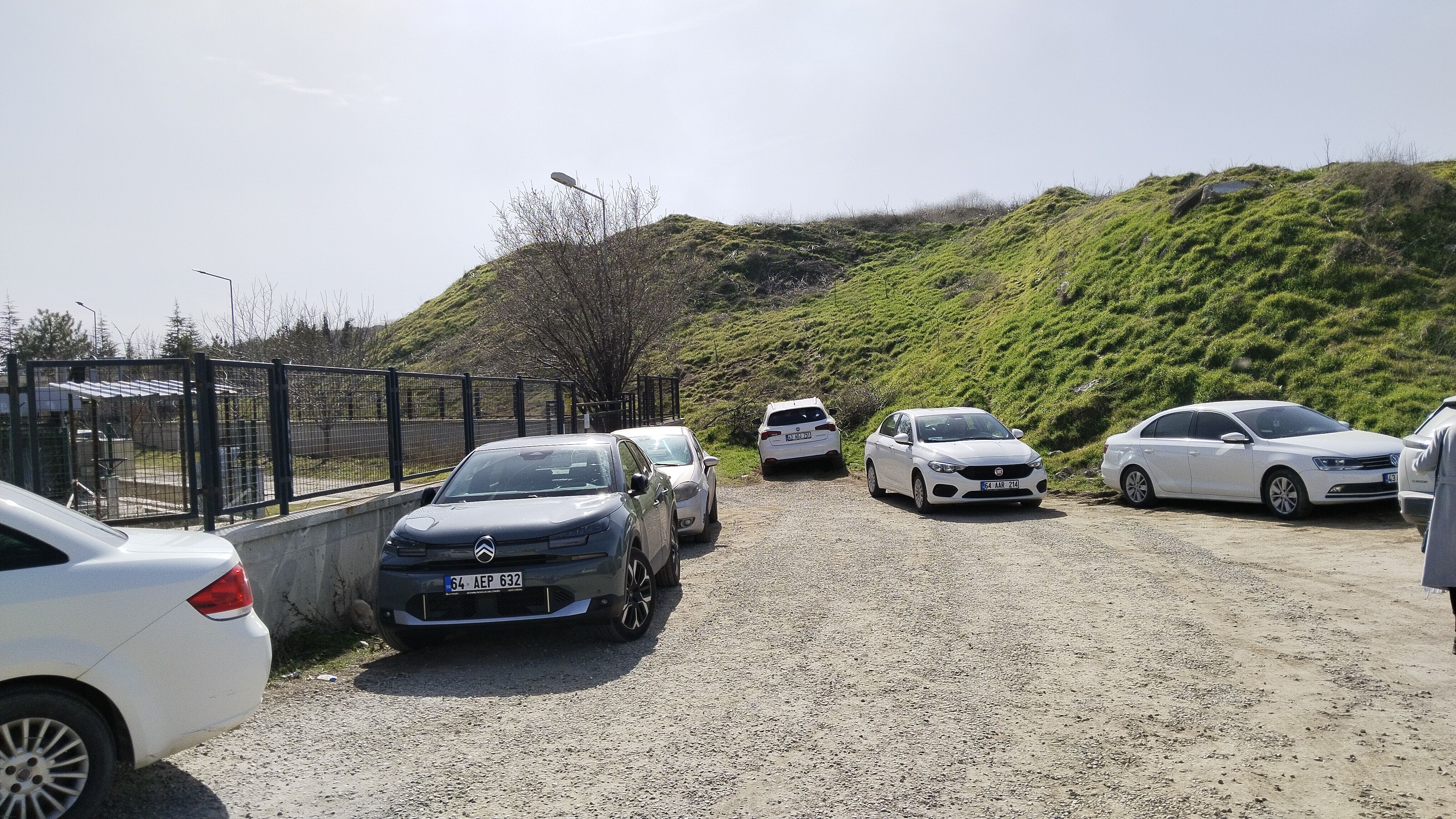 I M G 20260305 112145