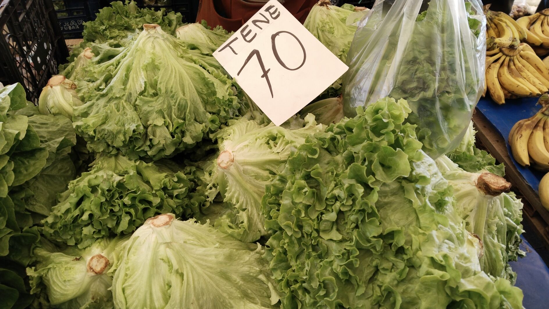 Pazaryeri Pazar Domates Patlıcan Salatalık Çilek Marul (1)