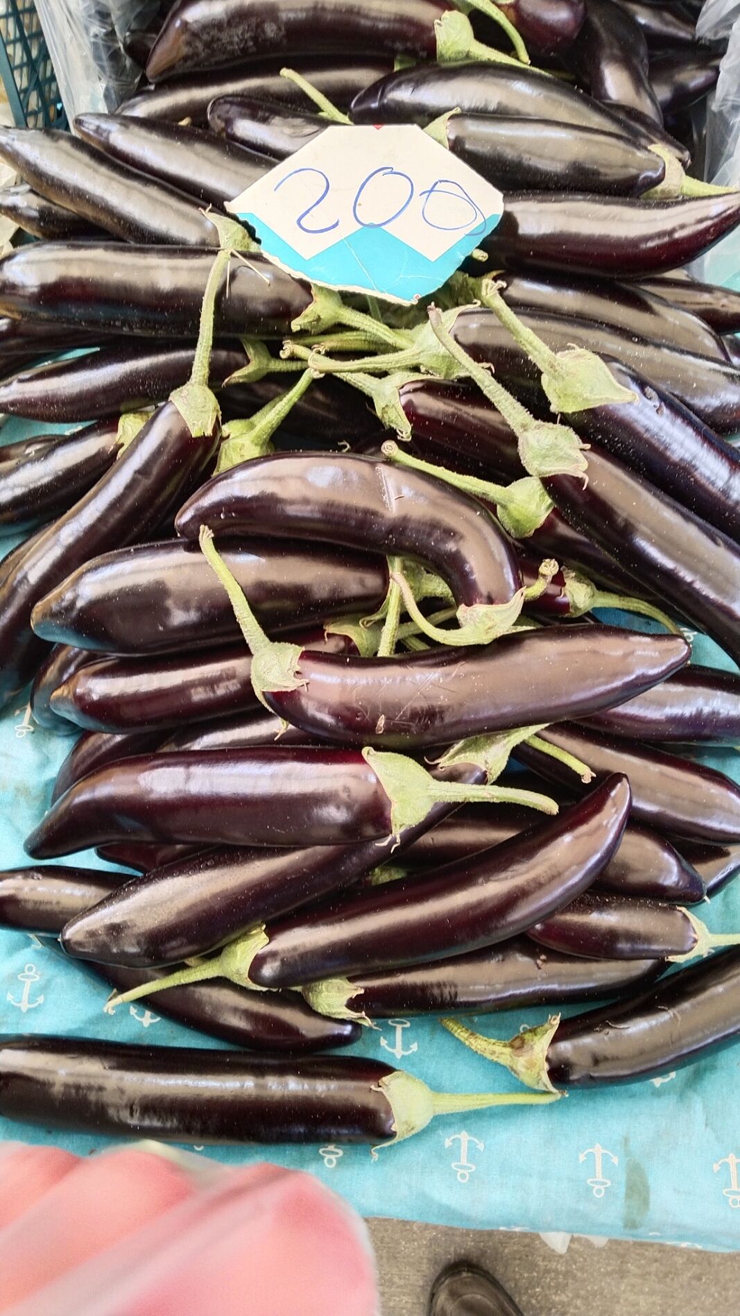 Pazaryeri Pazar Domates Patlıcan Salatalık Çilek Marul (6)