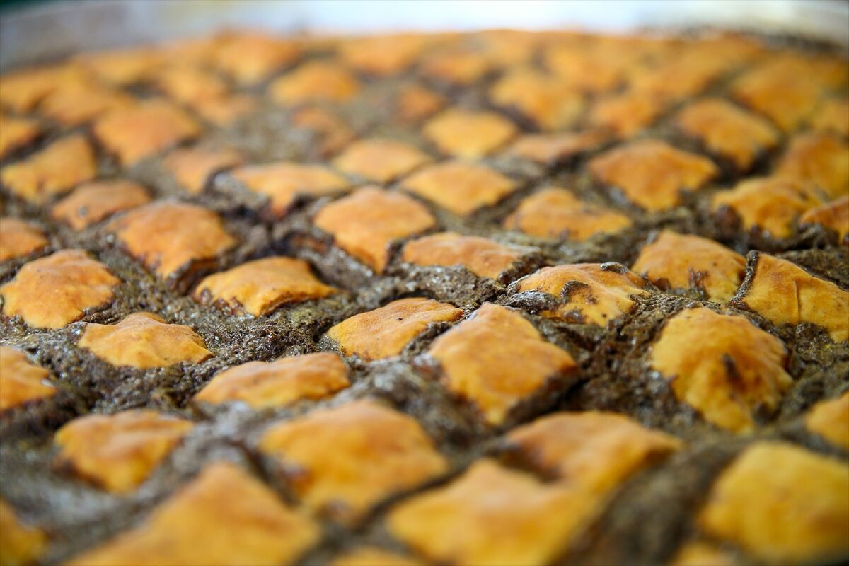 Ulubey Cam Teras Zini Hamursuzu (20)