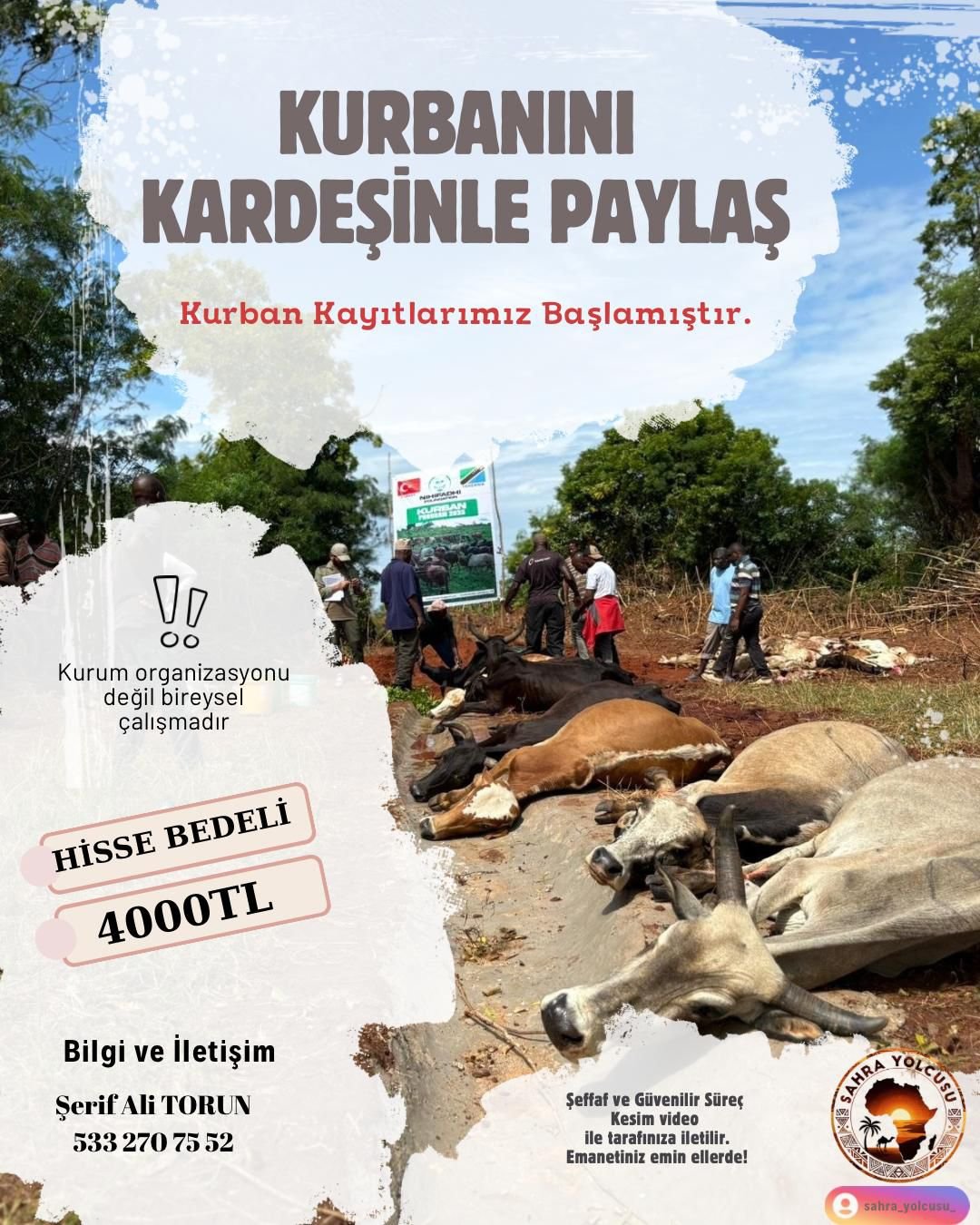 2B220D70 5F49 4352 B69A F77A87Cef987