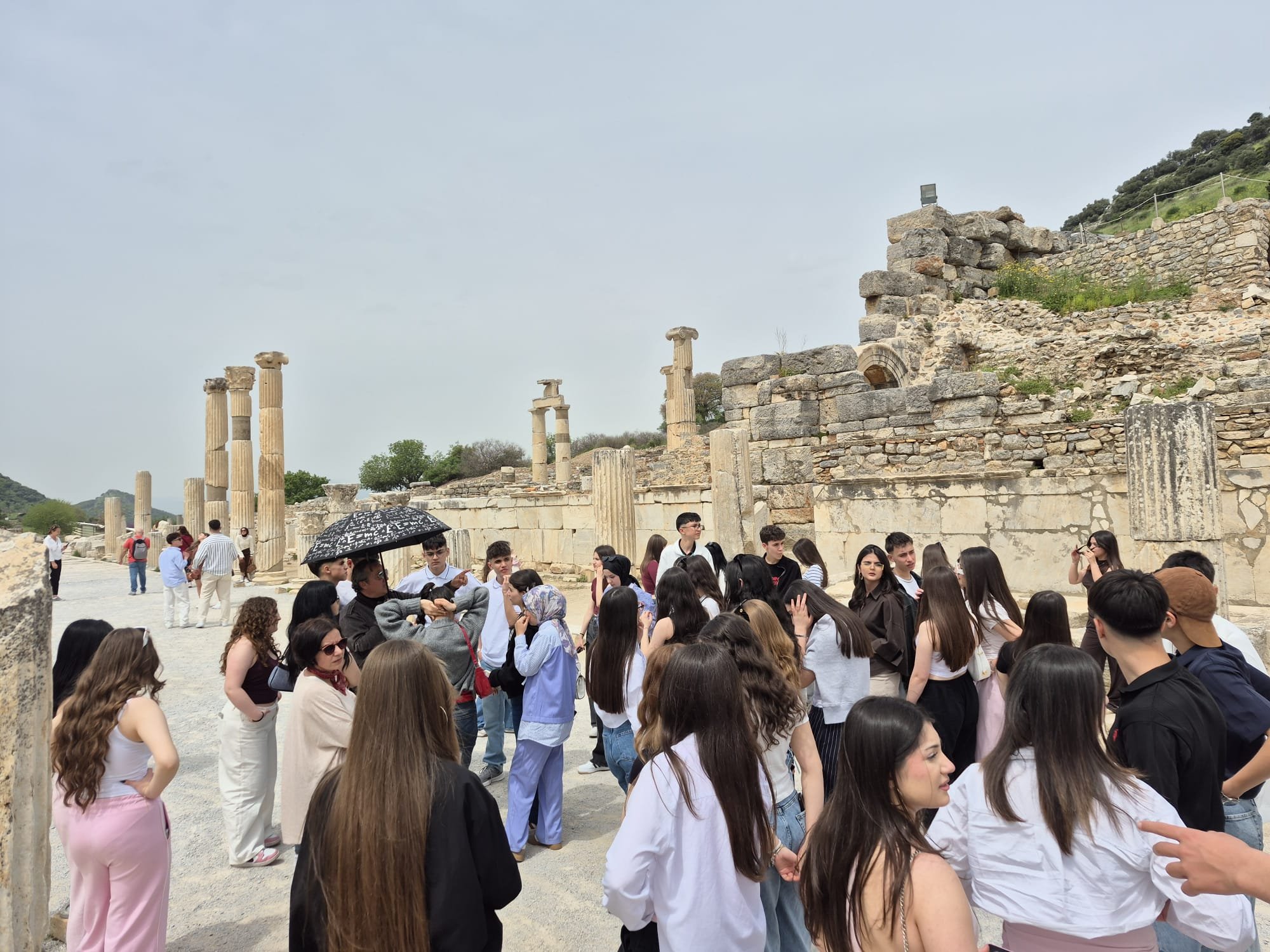 643B19Da 0Edc 4Dbe 948B 240Bf4Afaac5