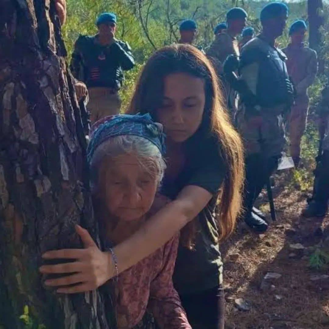 659839207 1001062589047554 6201703486300864390 N