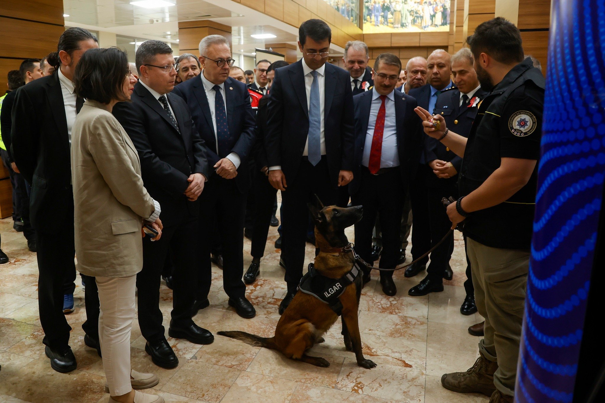 668600556 1267603355513603 2829509212883589850 N