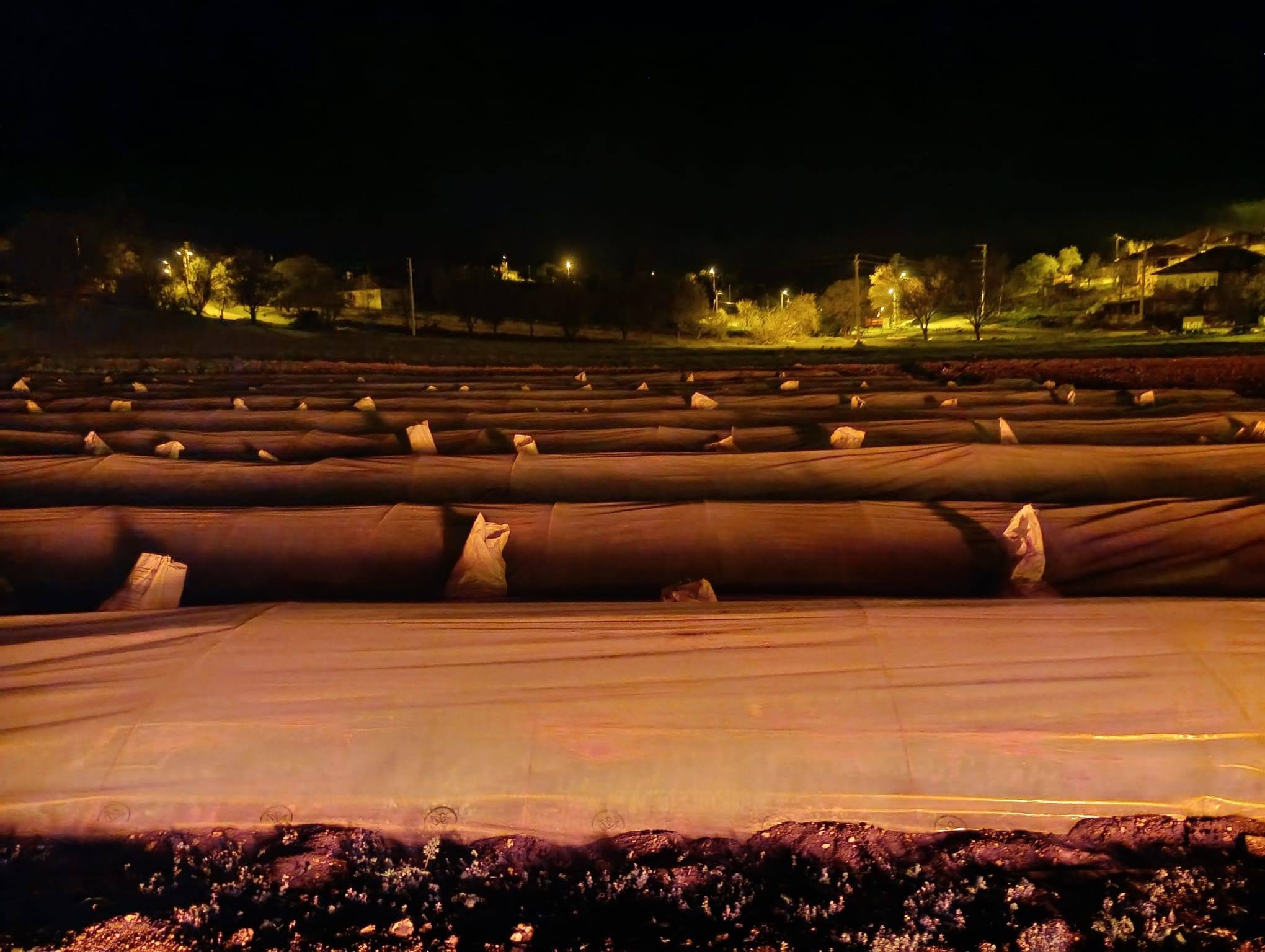 668715880 122203288034544242 5692669796616684249 N