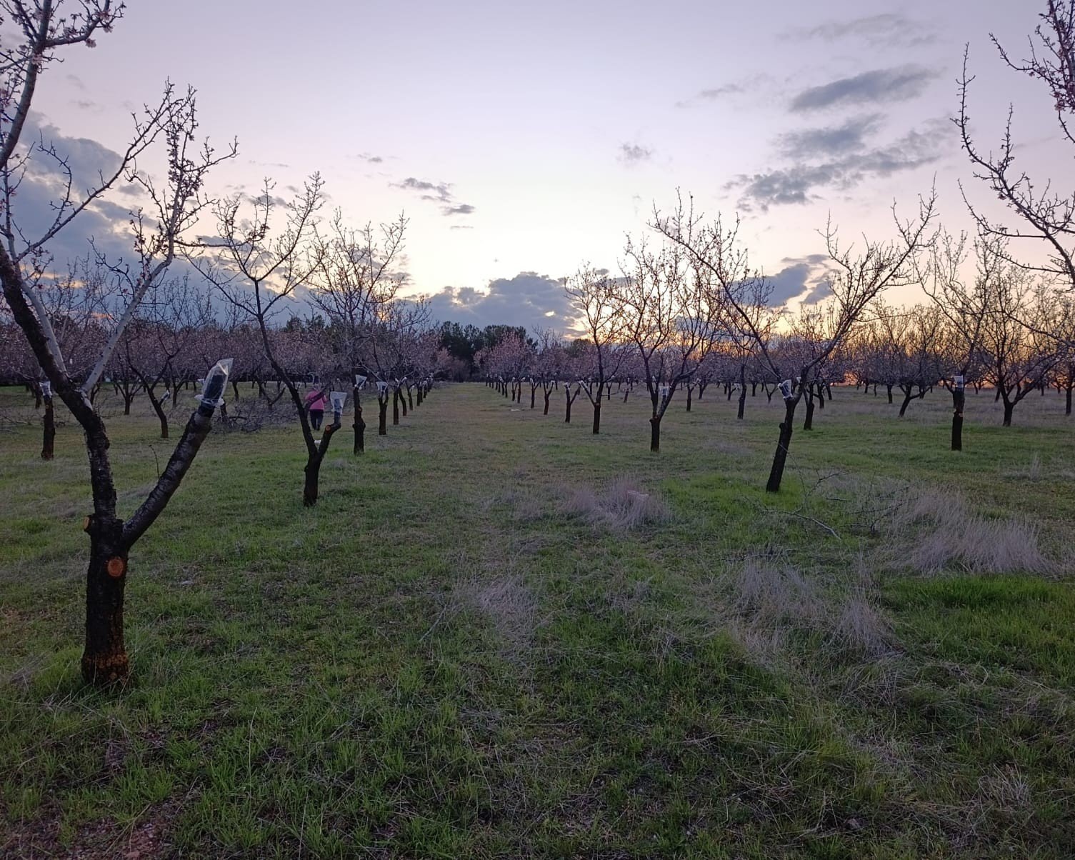 668759137 122202973004544242 5980533700157094855 N