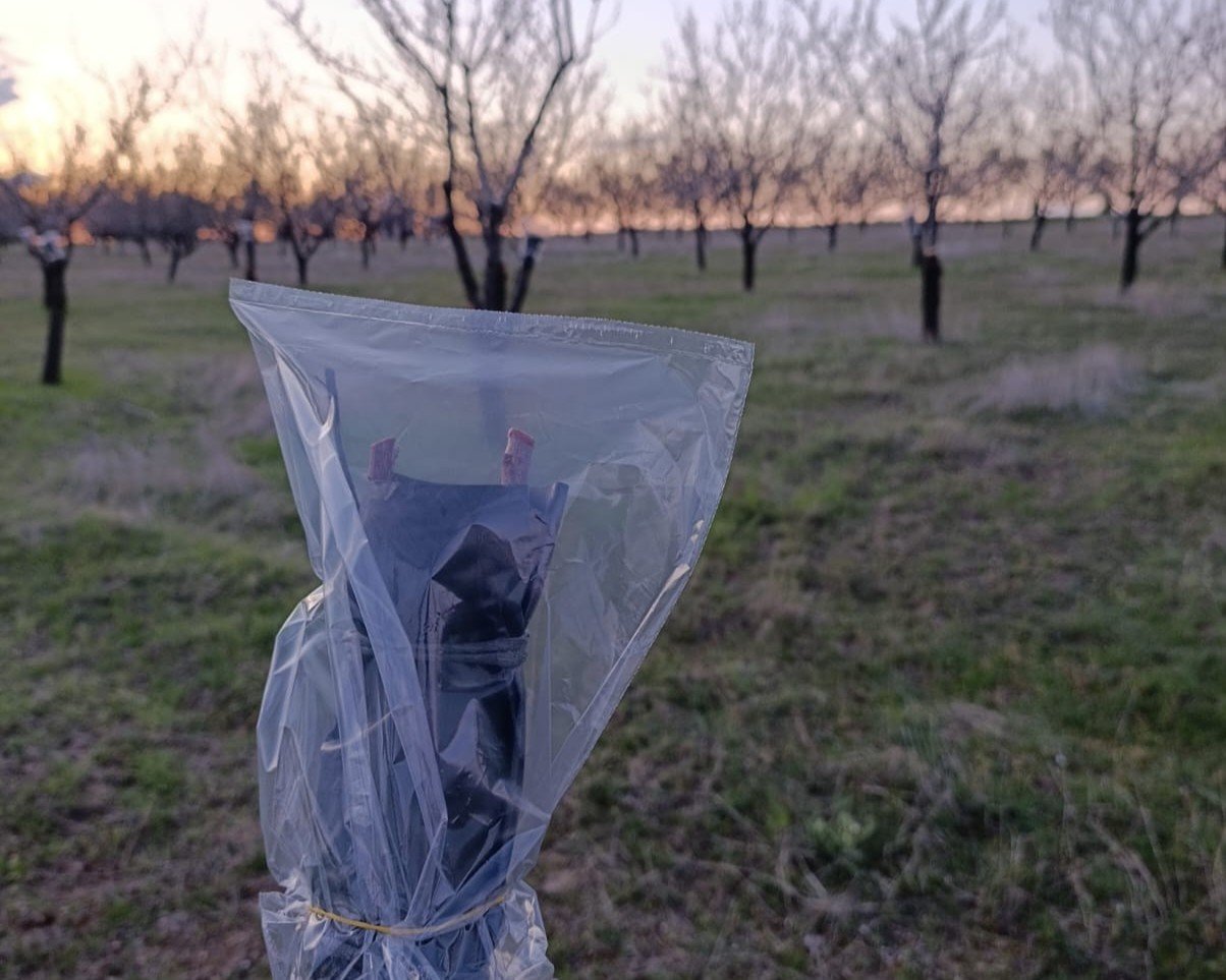 669239216 122202973010544242 1607172476728592875 N