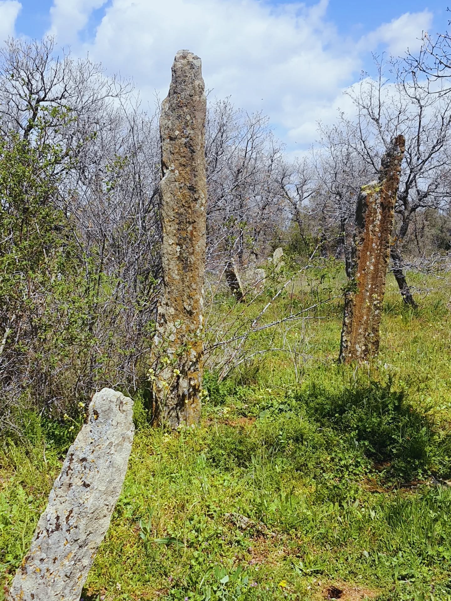 670543545 18571213306044056 3468100249381176059 N