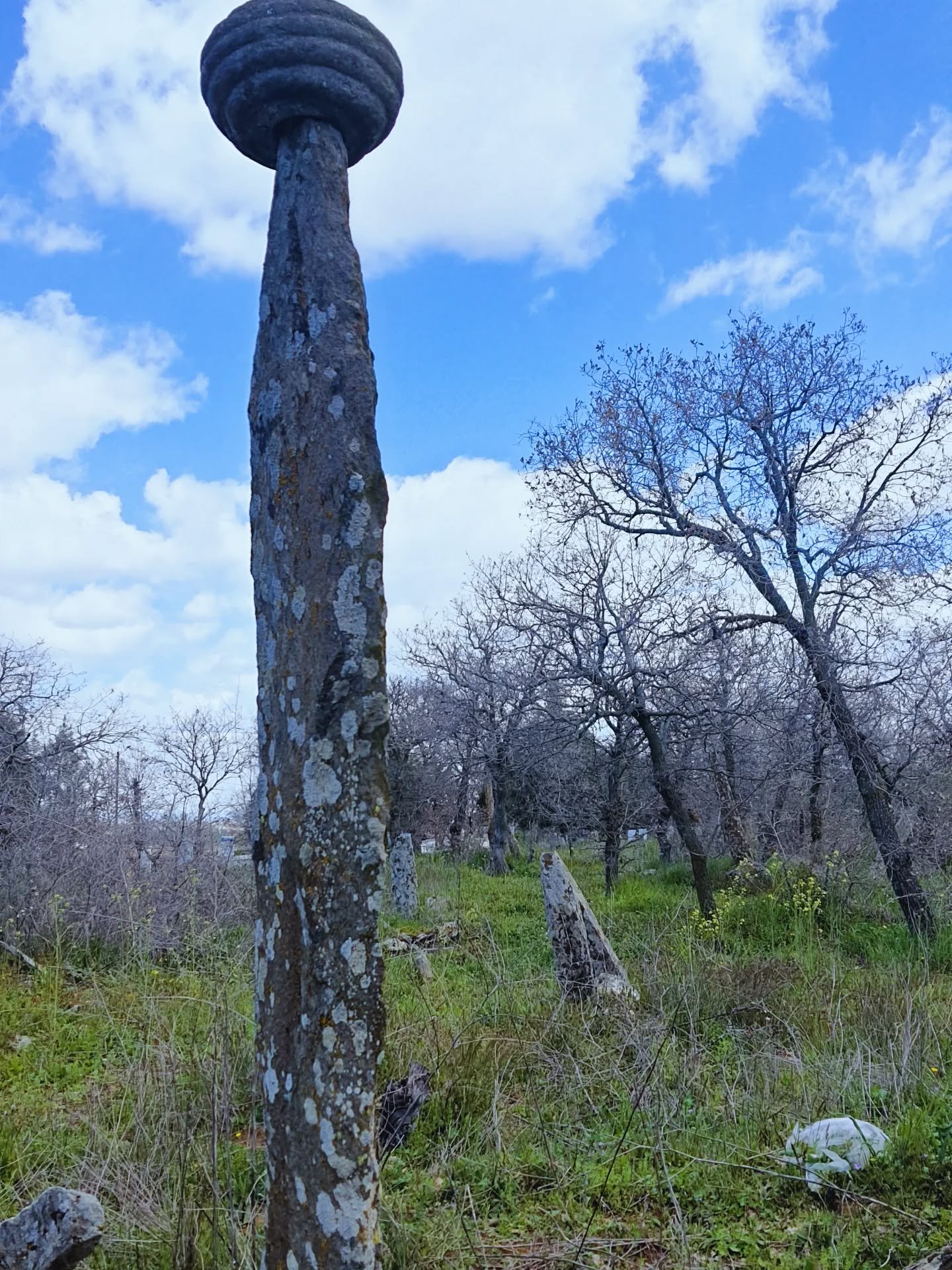 670758186 18571213315044056 6877090602500806294 N