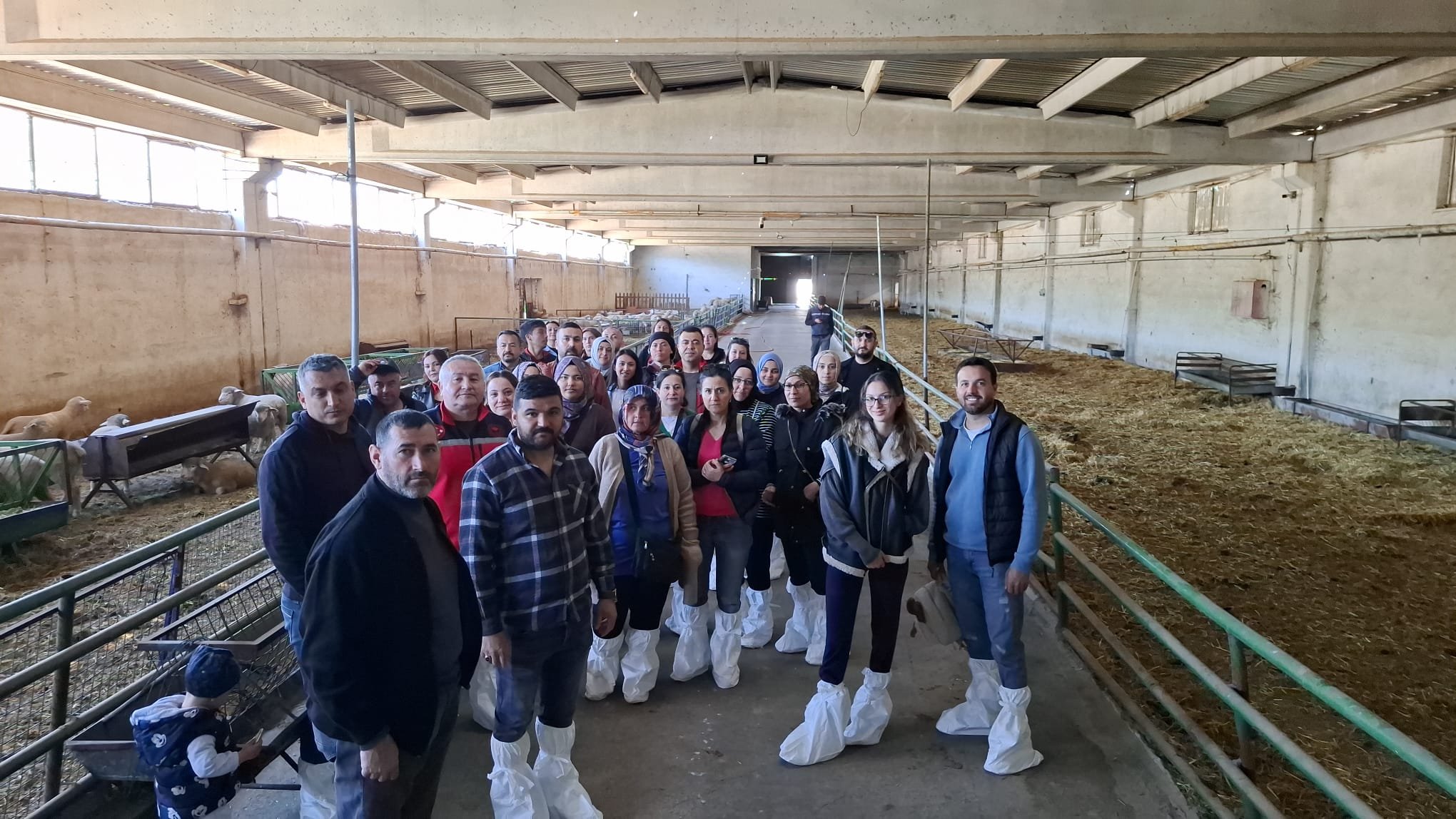 Uşak’ta sürü yönetimi kursu bu kez Sivaslı’da uygulandı