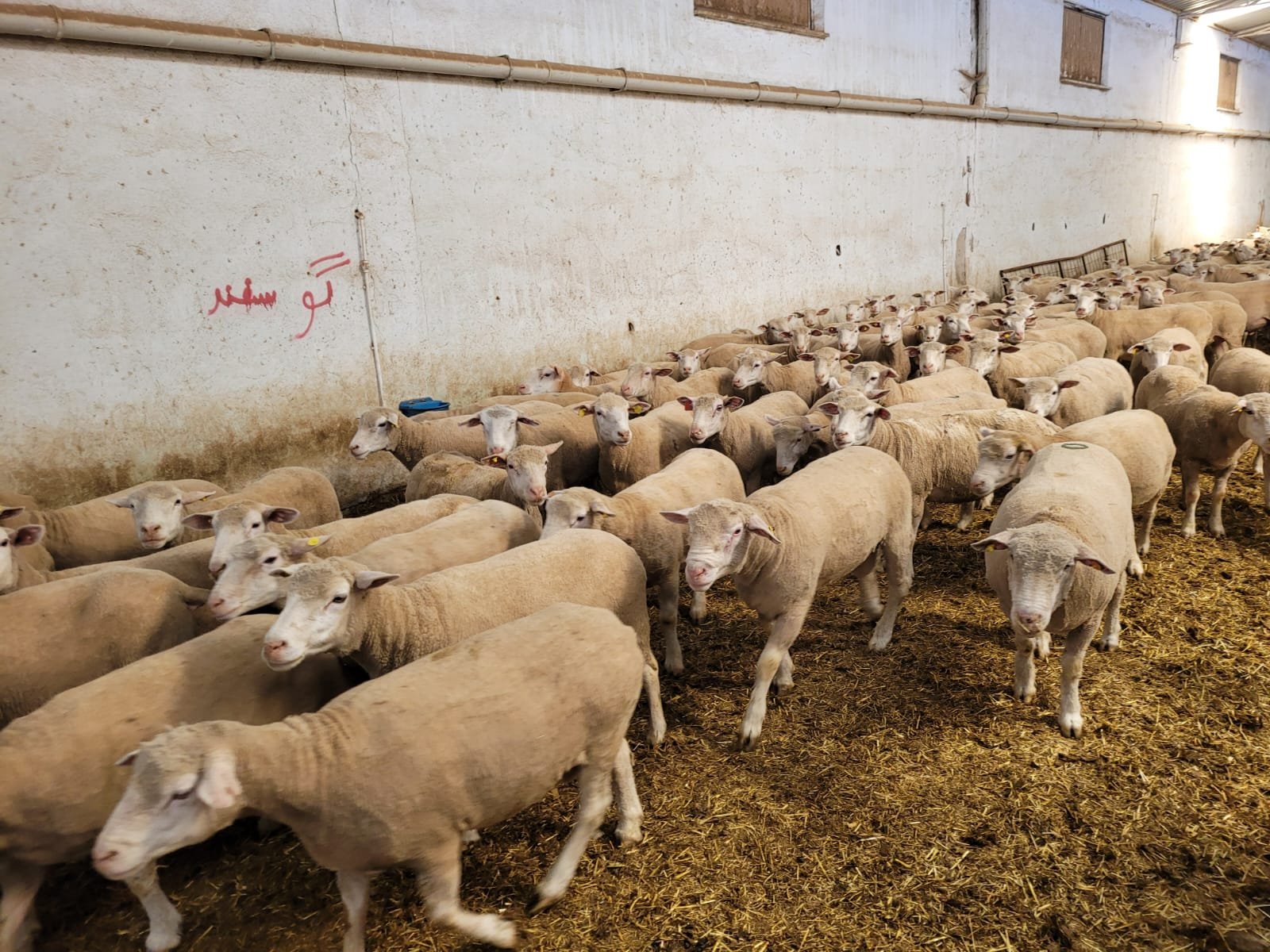 677938532 122204503946544242 7449660166541026512 N