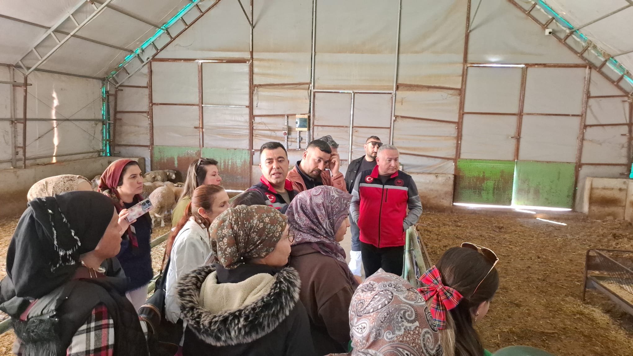 677945681 122204503880544242 4175889512066612116 N