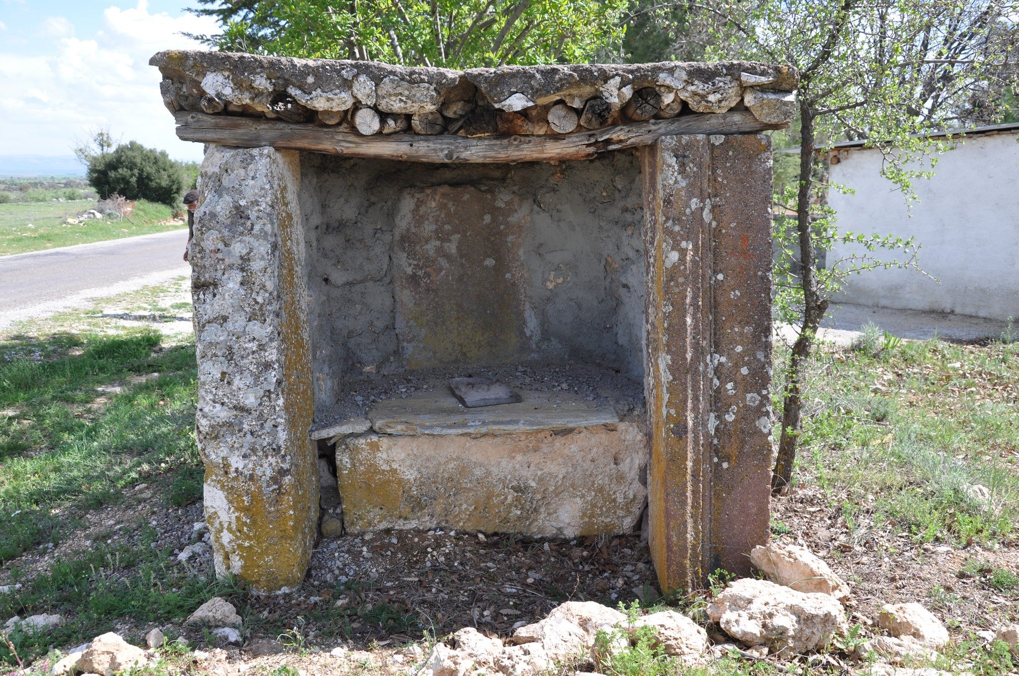 679475638 10225607899423693 6360942022584995011 N