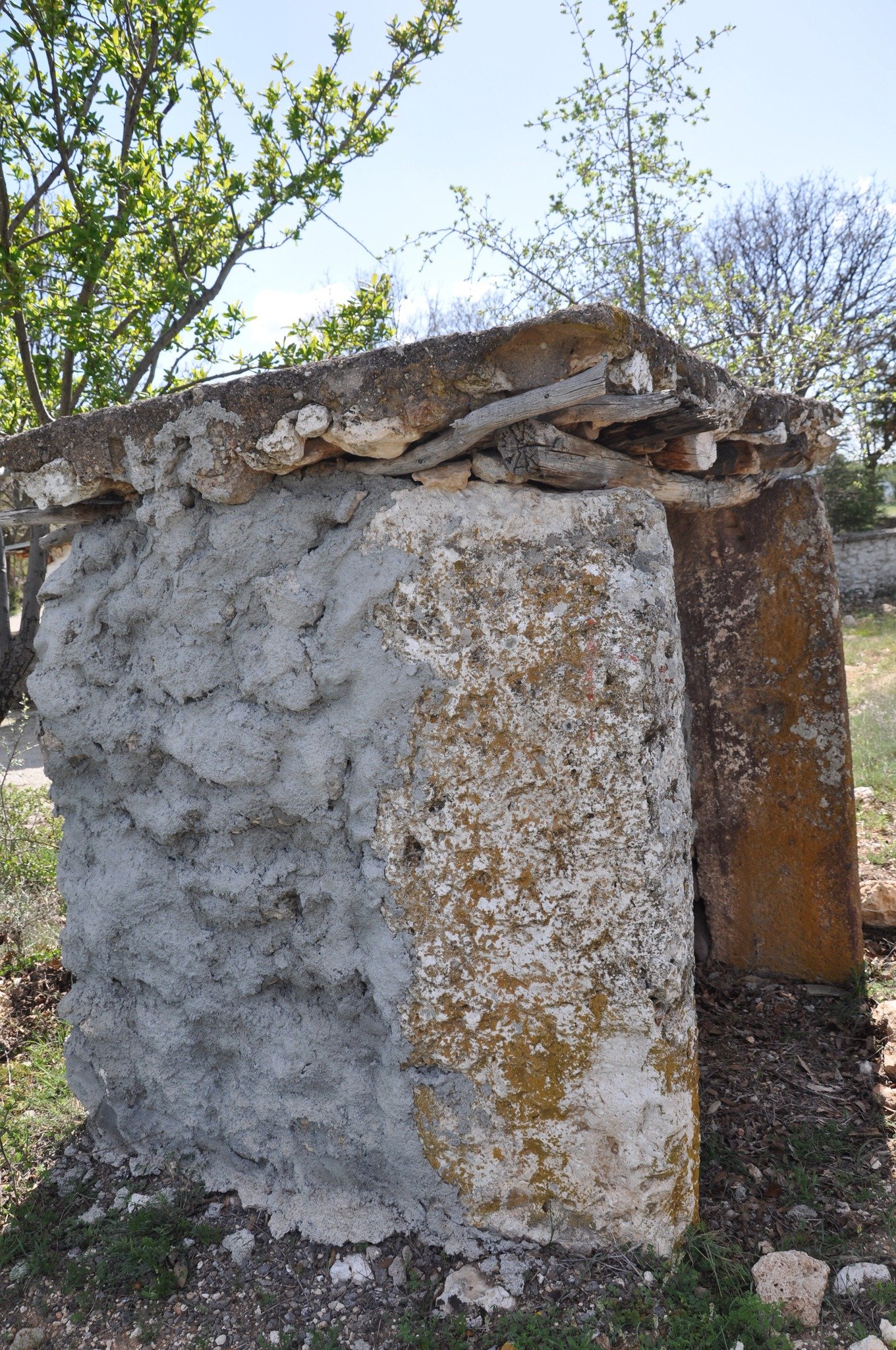 679913372 10225607901023733 2978706456468004467 N