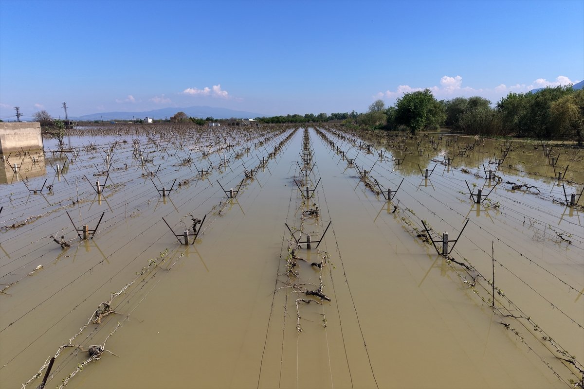 A A 20260408 41049752 41049745 M A N I S A D A G E D I Z N E H R I N I N T A S M A S I S O N U C U B A G L A R S U A L T I N D A K A L D I