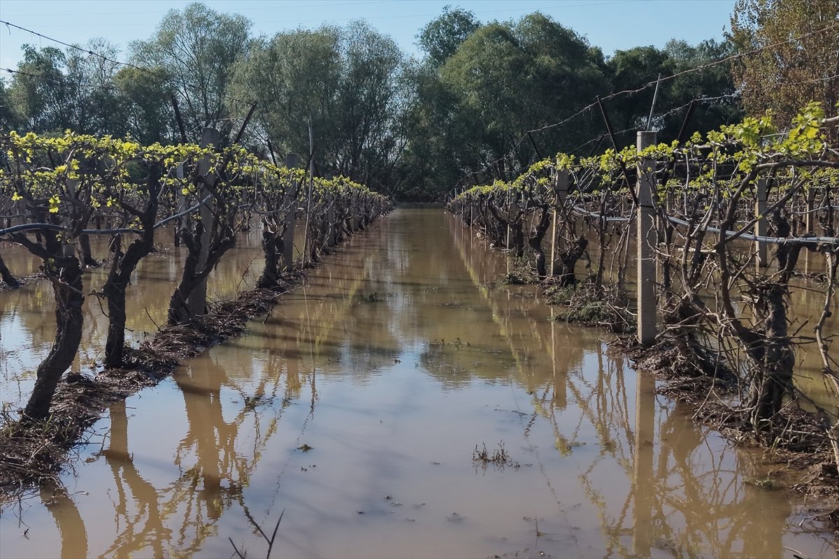 A A 20260408 41049752 41049746 M A N I S A D A G E D I Z N E H R I N I N T A S M A S I S O N U C U B A G L A R S U A L T I N D A K A L D I