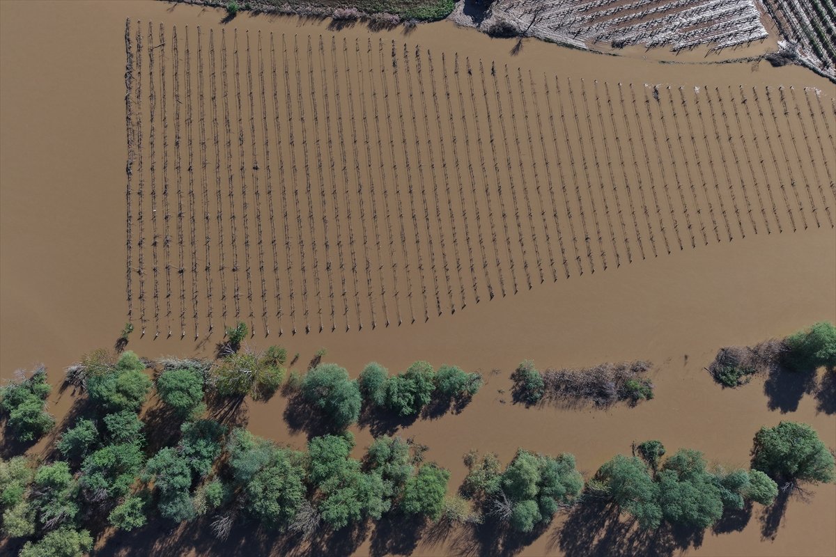 A A 20260408 41049752 41049747 M A N I S A D A G E D I Z N E H R I N I N T A S M A S I S O N U C U B A G L A R S U A L T I N D A K A L D I