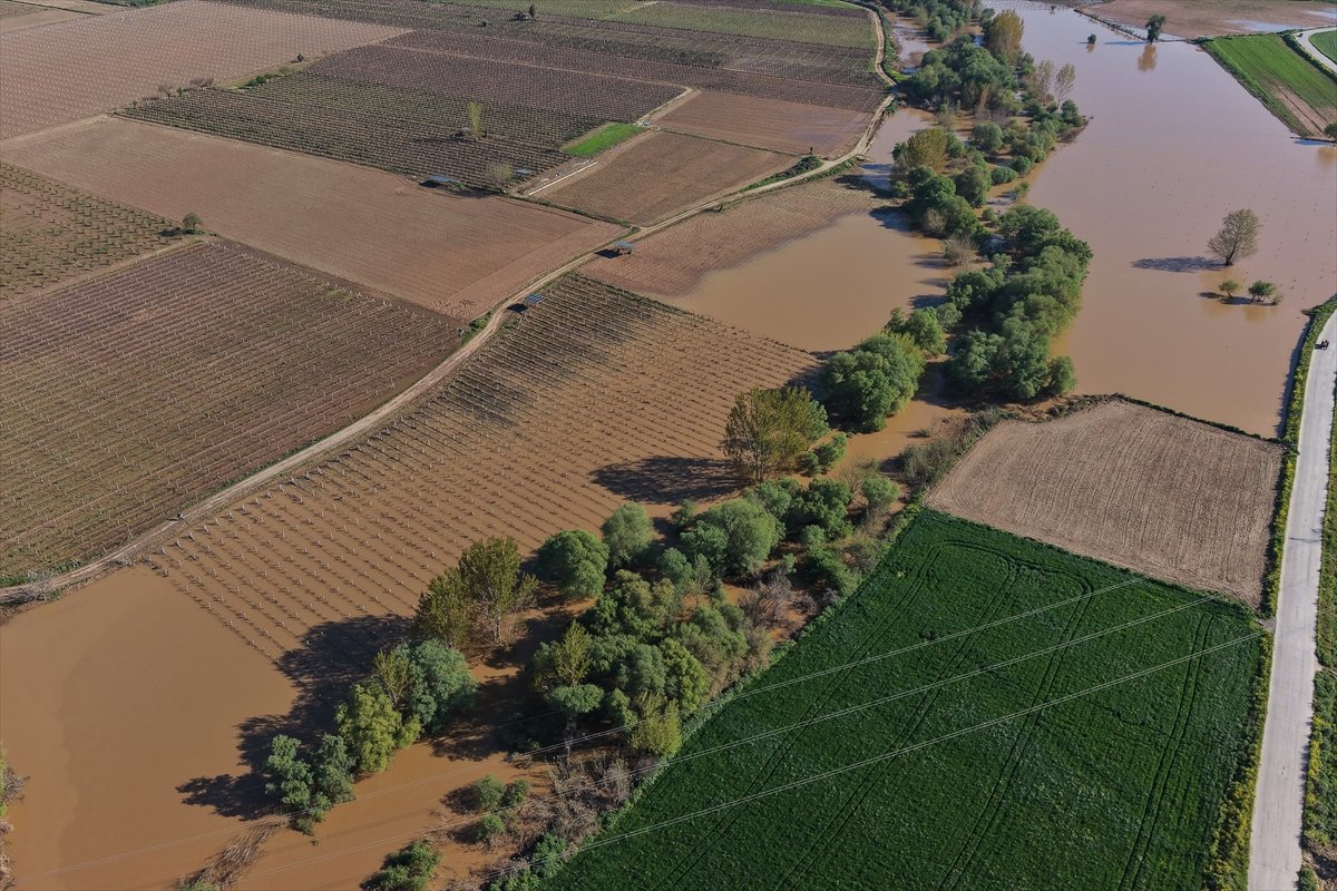 A A 20260408 41049752 41049748 M A N I S A D A G E D I Z N E H R I N I N T A S M A S I S O N U C U B A G L A R S U A L T I N D A K A L D I