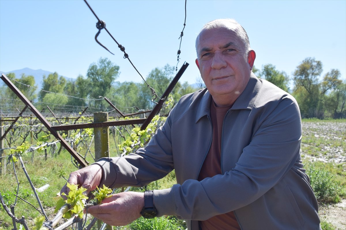 A A 20260408 41049752 41049751 M A N I S A D A G E D I Z N E H R I N I N T A S M A S I S O N U C U B A G L A R S U A L T I N D A K A L D I