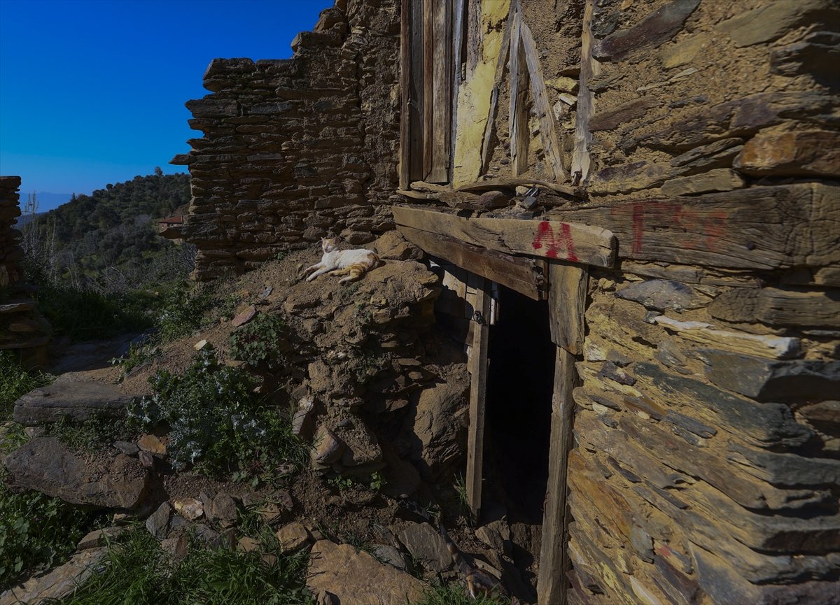 A A 20260418 41140412 41140404 G O C L E B O S A L A N H A Y A L E T K O Y L U B B E Y T U R I Z M L E A Y A G A K A L K A C A K