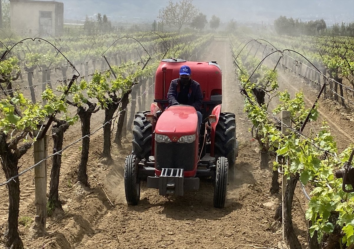 A A 20260422 41179523 41179522 A L A S E H I R D E K O N T R O L L U V E K A L I N T I S I Z B A G C I L I K P R O J E S I B A S L A T I L D I