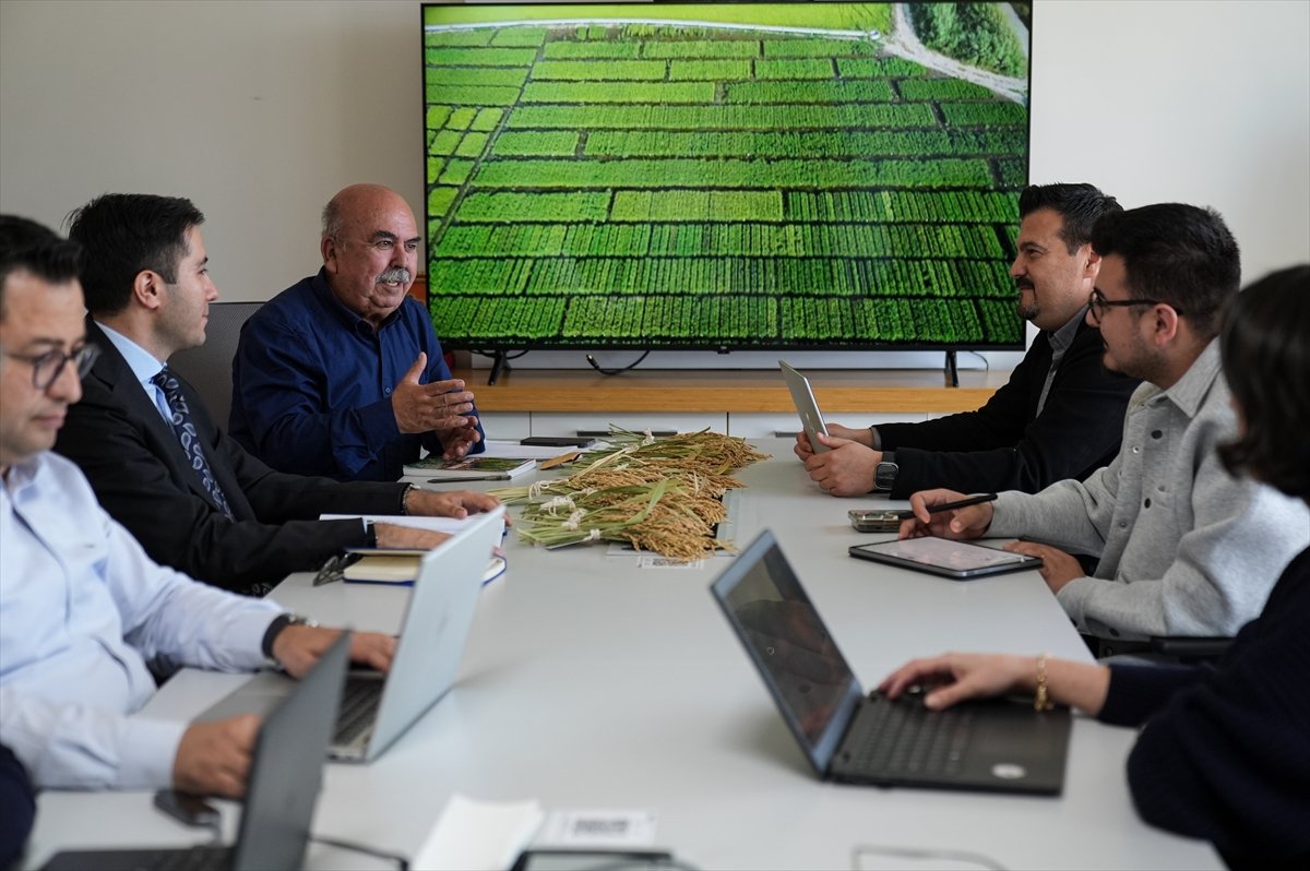 A A 20260424 41196914 41196899 C E L T I G I N B A B A S I K U R A K L I G A V E H A S T A L I K L A R A D A Y A N I K L I 3 C E S I T D A H A G E L I S T I R D I