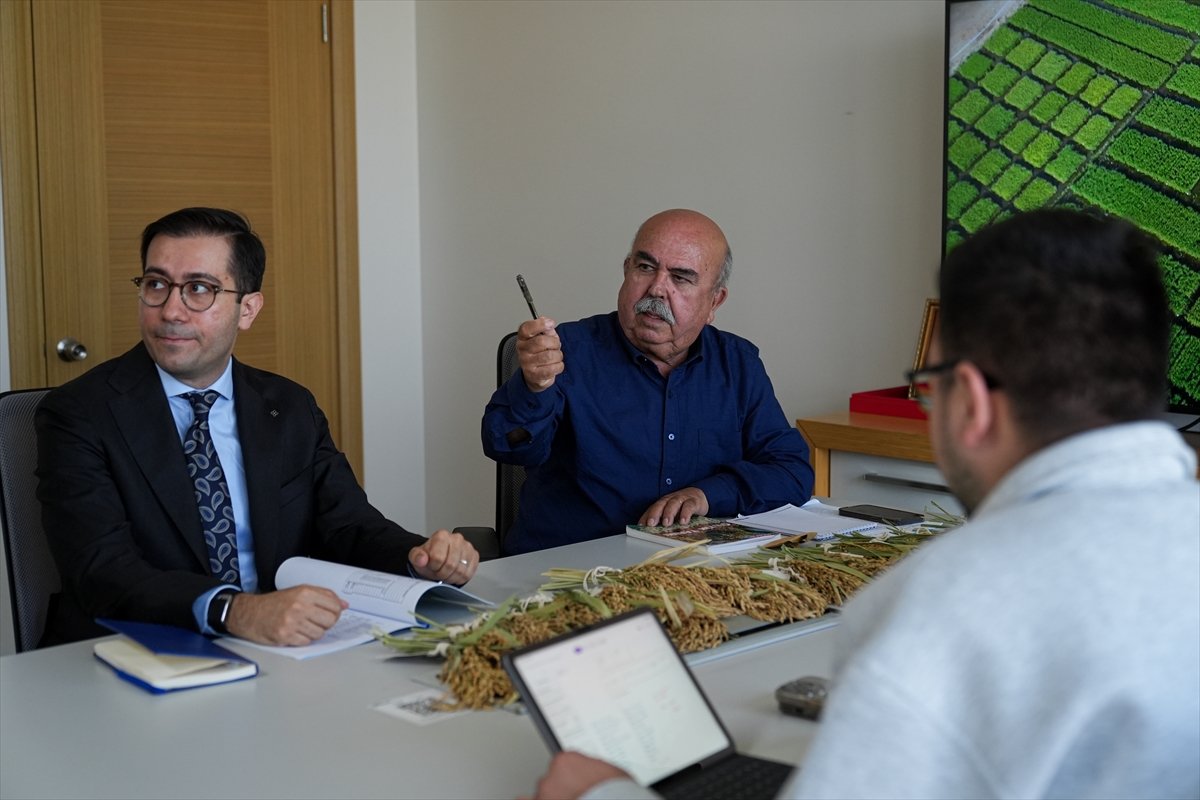 A A 20260424 41196914 41196900 C E L T I G I N B A B A S I K U R A K L I G A V E H A S T A L I K L A R A D A Y A N I K L I 3 C E S I T D A H A G E L I S T I R D I