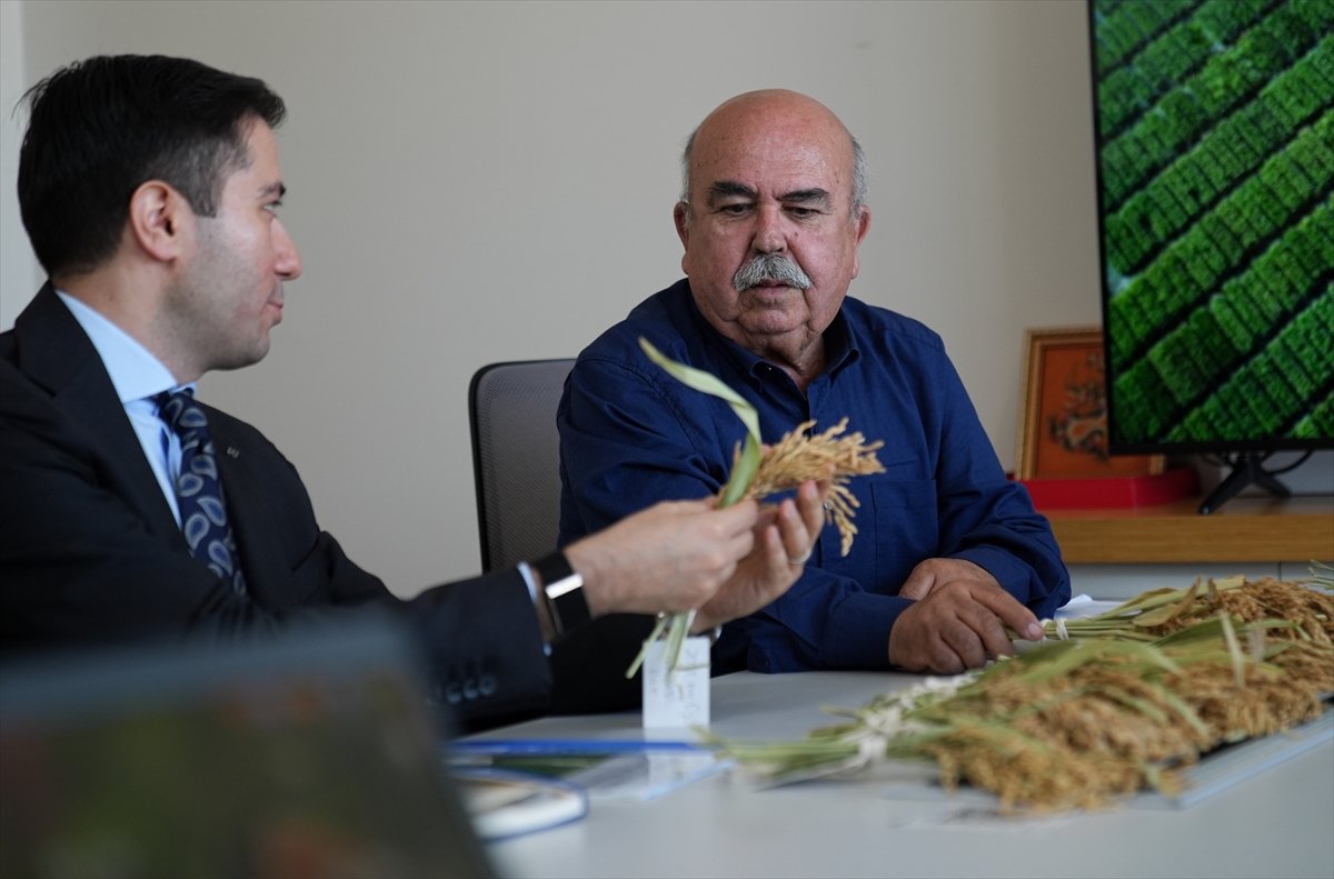 A A 20260424 41196914 41196901 C E L T I G I N B A B A S I K U R A K L I G A V E H A S T A L I K L A R A D A Y A N I K L I 3 C E S I T D A H A G E L I S T I R D I