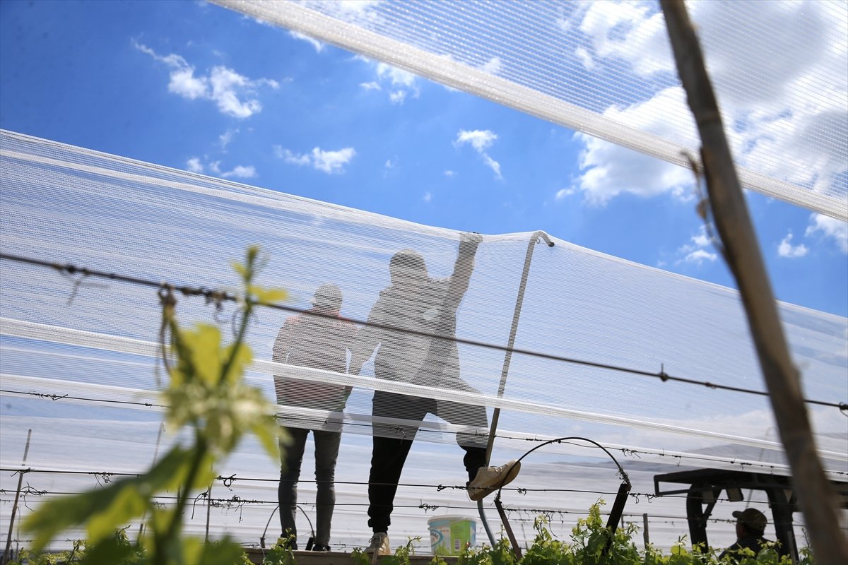 A A 20260425 41205734 41205715 M A N I S A L I U R E T I C I L E R U Z U M B A G L A R I N I D O L U T U L U I L E K O R U Y O R