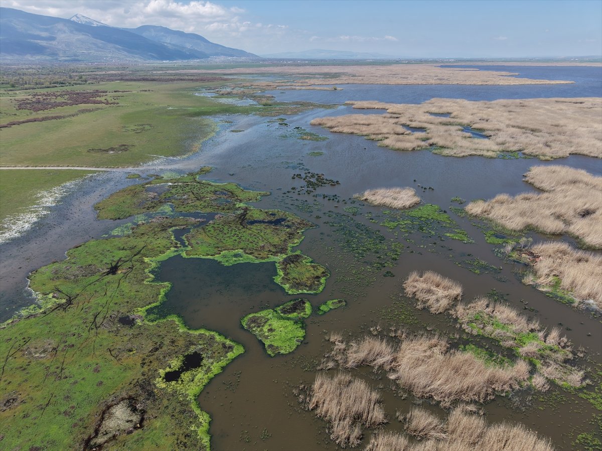 A A 20260426 41213673 41213657 K U R A K L I K R I S K I A L T I N D A K I E B E R G O L U N U N S U S E V I Y E S I U C K A T A R T T I