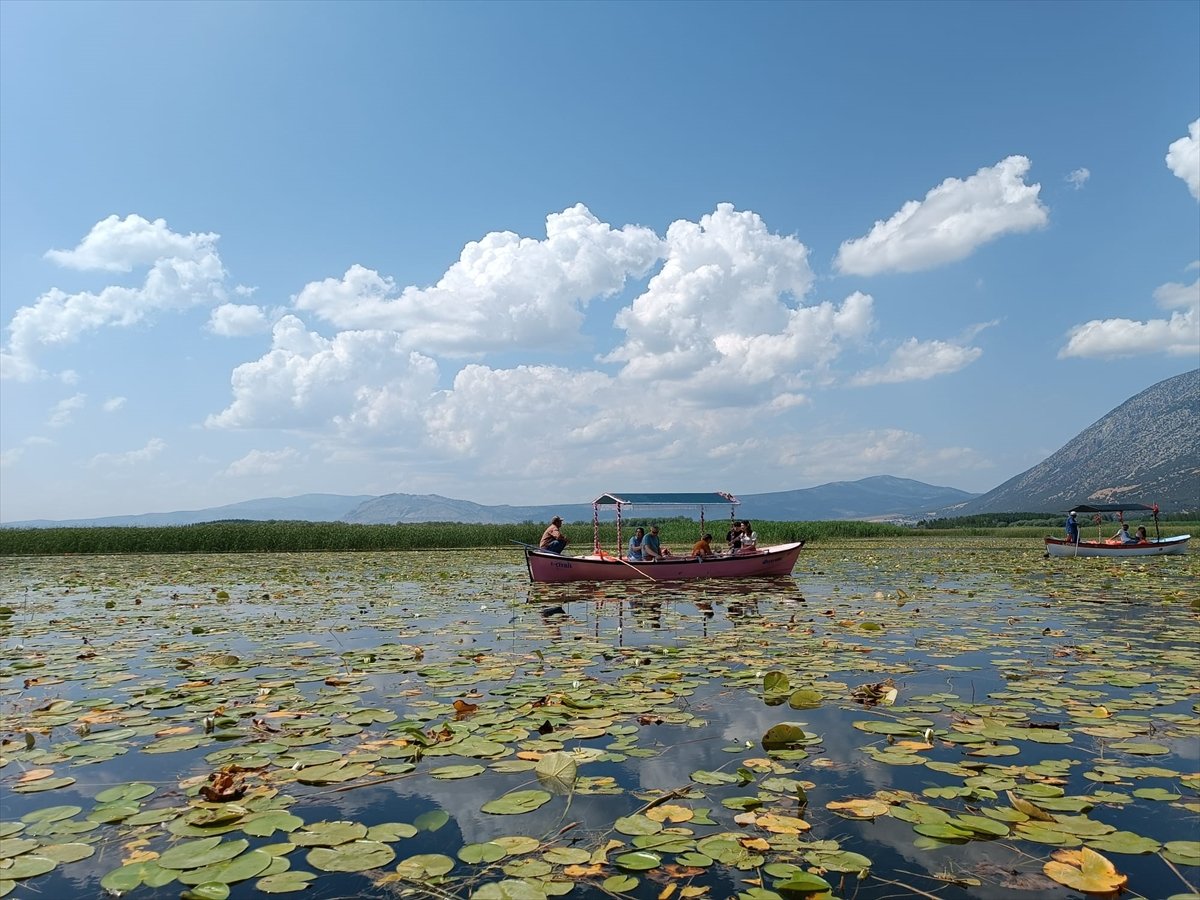 A A 20260427 41223886 41223883 I S I K L I G O L U N D E N I L U F E R C I C E G I T U R L A R I 1 M A Y I S T A B A S L A Y A C A K