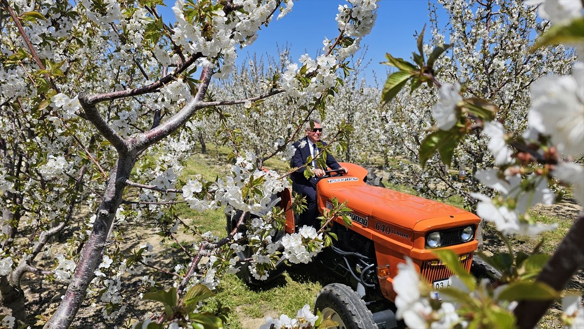 A A 20260428 41233329 41233326 A F Y O N K A R A H I S A R D A 5 G E L E N E K S E L S U L T A N D A G I K I R A Z C I C E G I F O T O S A F A R I E T K I N L I G I Y A P I L D I