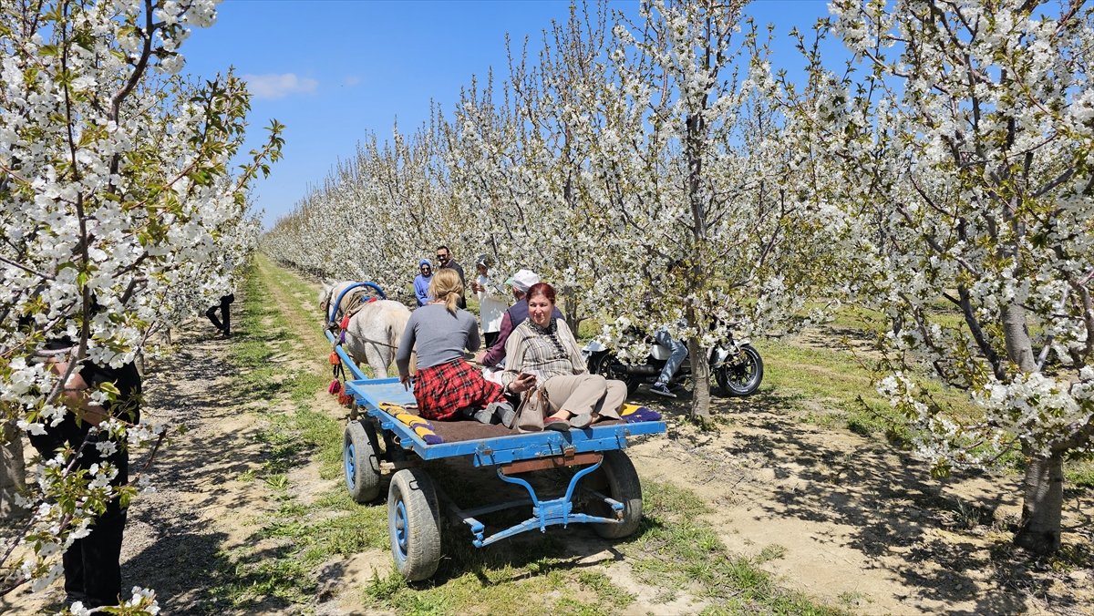 A A 20260428 41233329 41233327 A F Y O N K A R A H I S A R D A 5 G E L E N E K S E L S U L T A N D A G I K I R A Z C I C E G I F O T O S A F A R I E T K I N L I G I Y A P I L D I