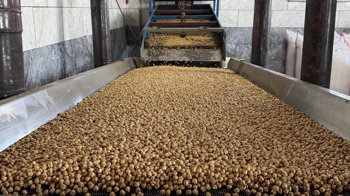 A A 20260429 41239561 41239550 B E S K U S A K T I R K A V U R D U K L A R I T A V S A N L I L E B L E B I S I N I O R T A D O G U V E A V R U P A Y A G O N D E R I Y O R L A R