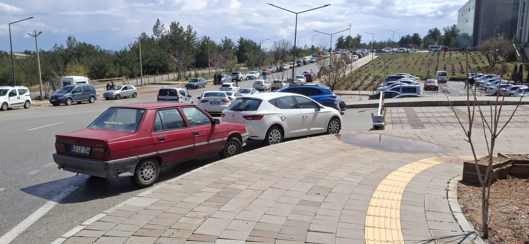 B6C97632 25Dd 4B58 8A37 804Dab7Bdf90