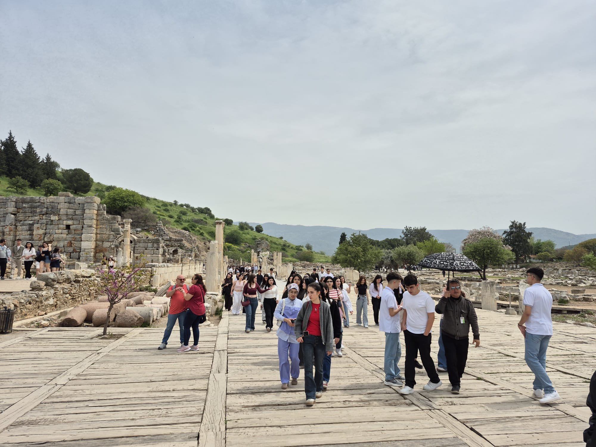 D9735A55 6607 4Ceb 8Cff 671554F549B1