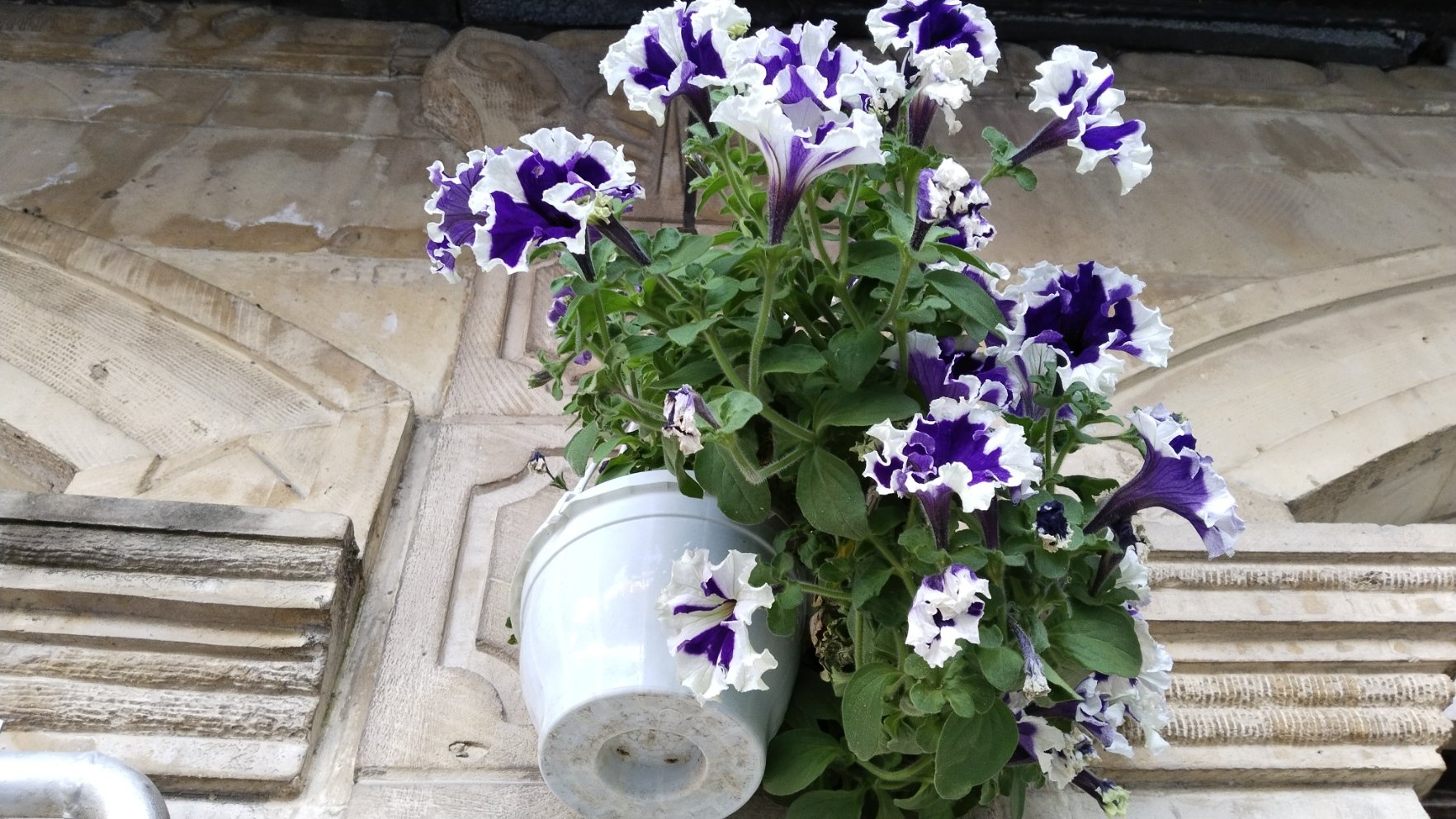 Gizem Bükme Katmer (2)