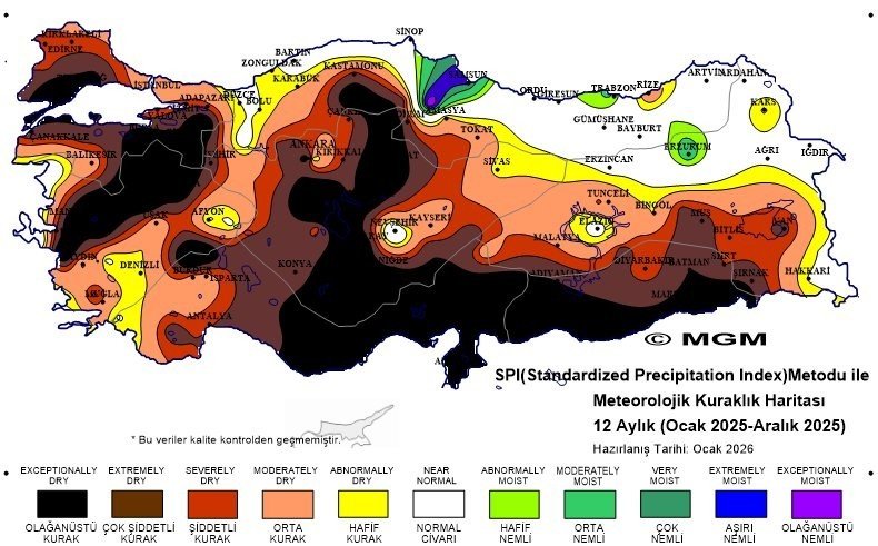 S P I12 Aylik Intra 2025