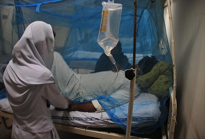 Thumbs B C 08022276817C56195608D56F89Ca5A2D